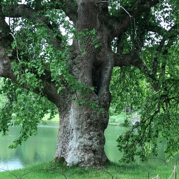 Meet your Posher, Audrey - Picture 11 of 13